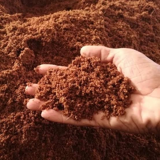 Unlock Gardening Success with Premium Cocopeat Products